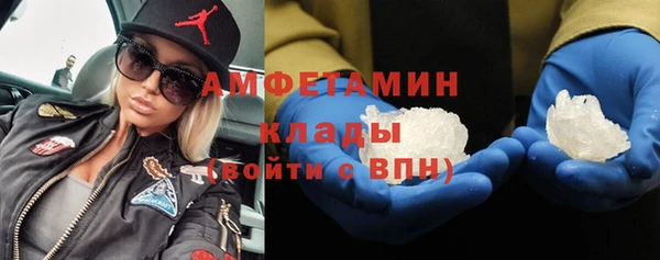метадон Богданович
