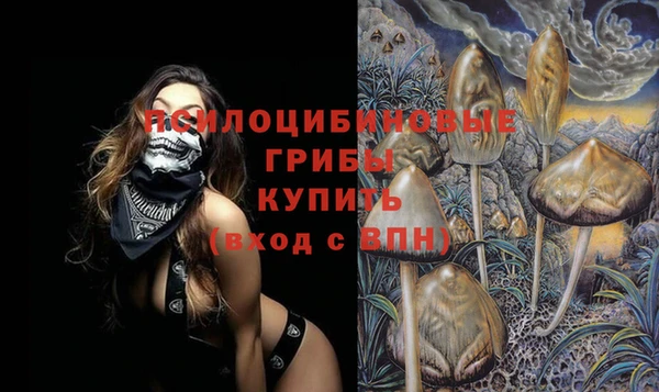 метадон Богданович