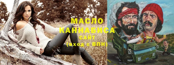 мдпв Богородицк
