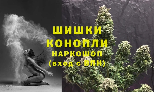 мдпв Богородицк