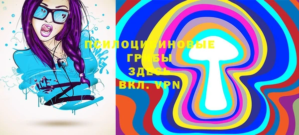 мдпв Богородицк