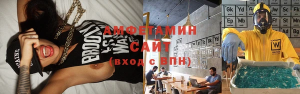 метадон Богданович