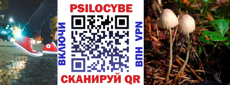 Псилоцибиновые грибы Psilocybine cubensis Старый Оскол
