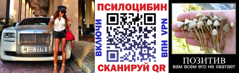 где купить наркоту Старый Оскол Псилоцибиновые грибы Psilocybine cubensis